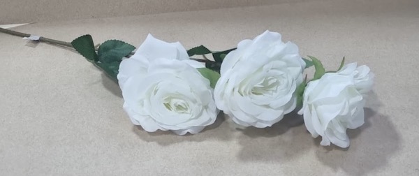 Rose Open